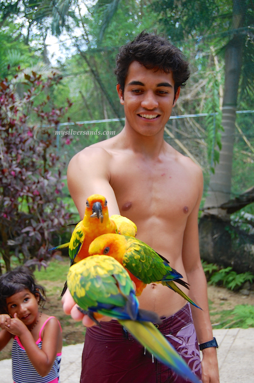 lal feeding the birds