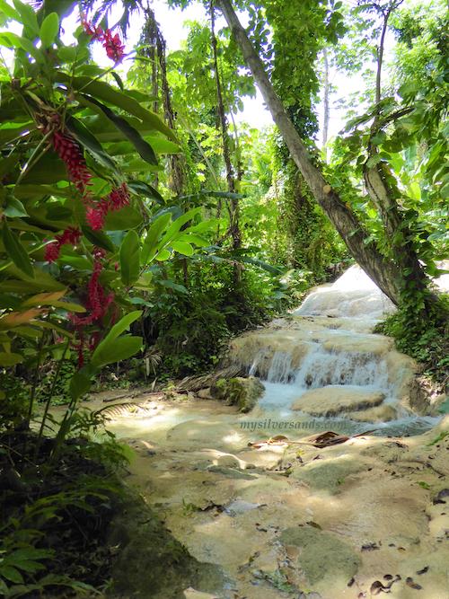 turtle river falls - ginger lilies