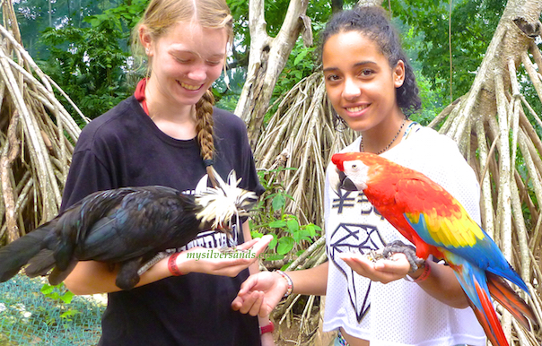 with birds at turtle river falls