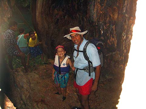 Inside the cotton tree.