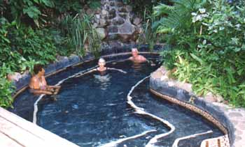 In the pool at The Orchid House.