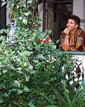 Looking out from the gazebo.