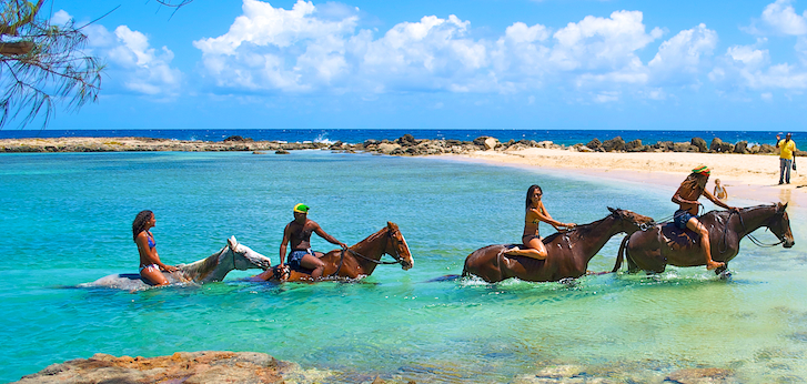 braco stables horseback riding tour featruring the sea swim on bareback