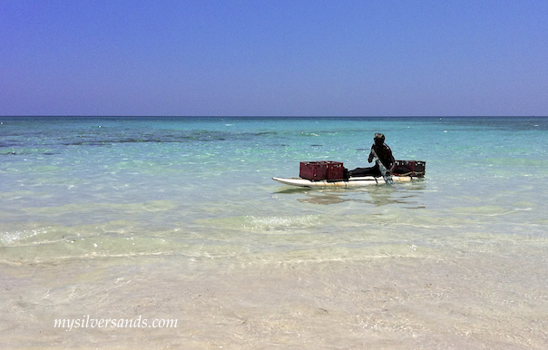 conch man, shine,paddling into Silver Sands villas Jamaica on his windsurf board