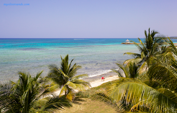 view of the sea front at endless summer