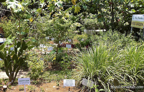 martha's herd garden at rafters village martha brae river jamaica