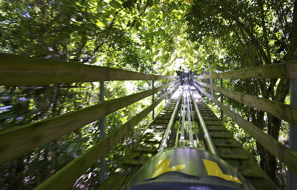 hurtling down the track at mystic mountain on the bobsled tour