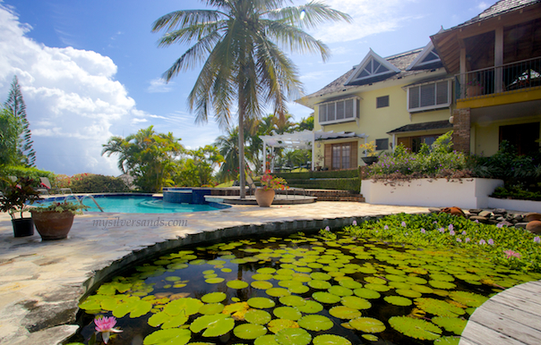 the lily pond at rock hill villa in silver sands jamaica