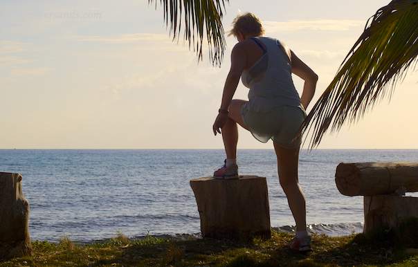 step ups on a tree stump