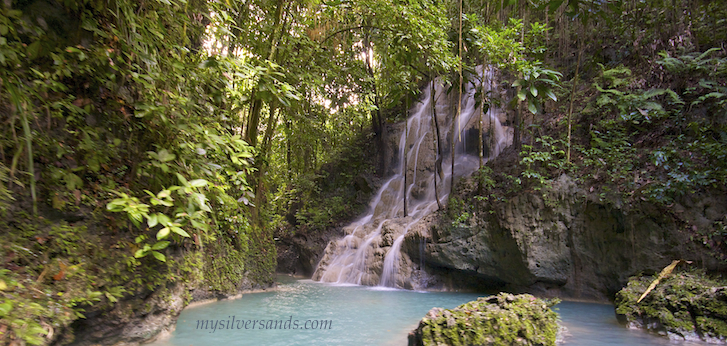 somerset falls portland jamaica, a day trip from silver sands villas