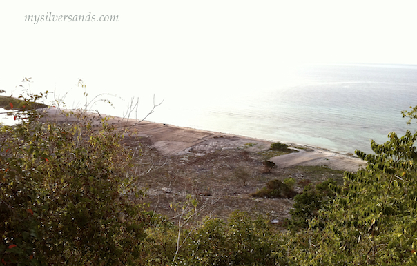 hotel site from stewart castle near flamouth and silver sands trelawny jamaica