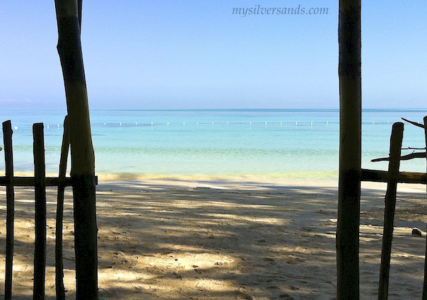 from inside the taste a yaad restaurant